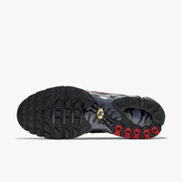 Air max plus TN ''Dracula''