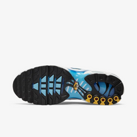 NK AIR MAX PLUS TN "PAINT SWOOSH"