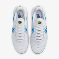 NK AIR MAX PLUS TN "PAINT SWOOSH"
